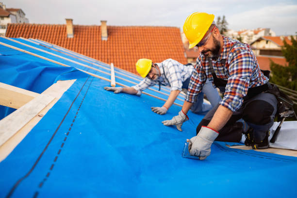 Roof Insulation in Carterville, IL